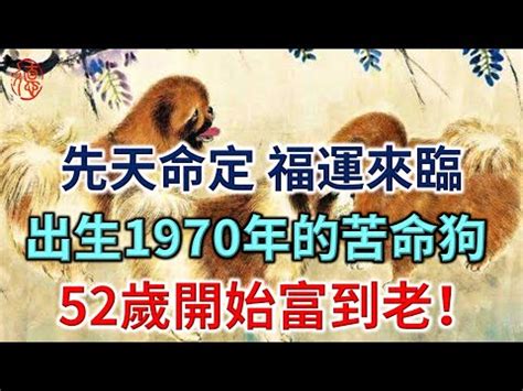 1970屬狗一生運勢|1970属狗人2024年全年运势详解 1970年属狗人2024年运势及每月。